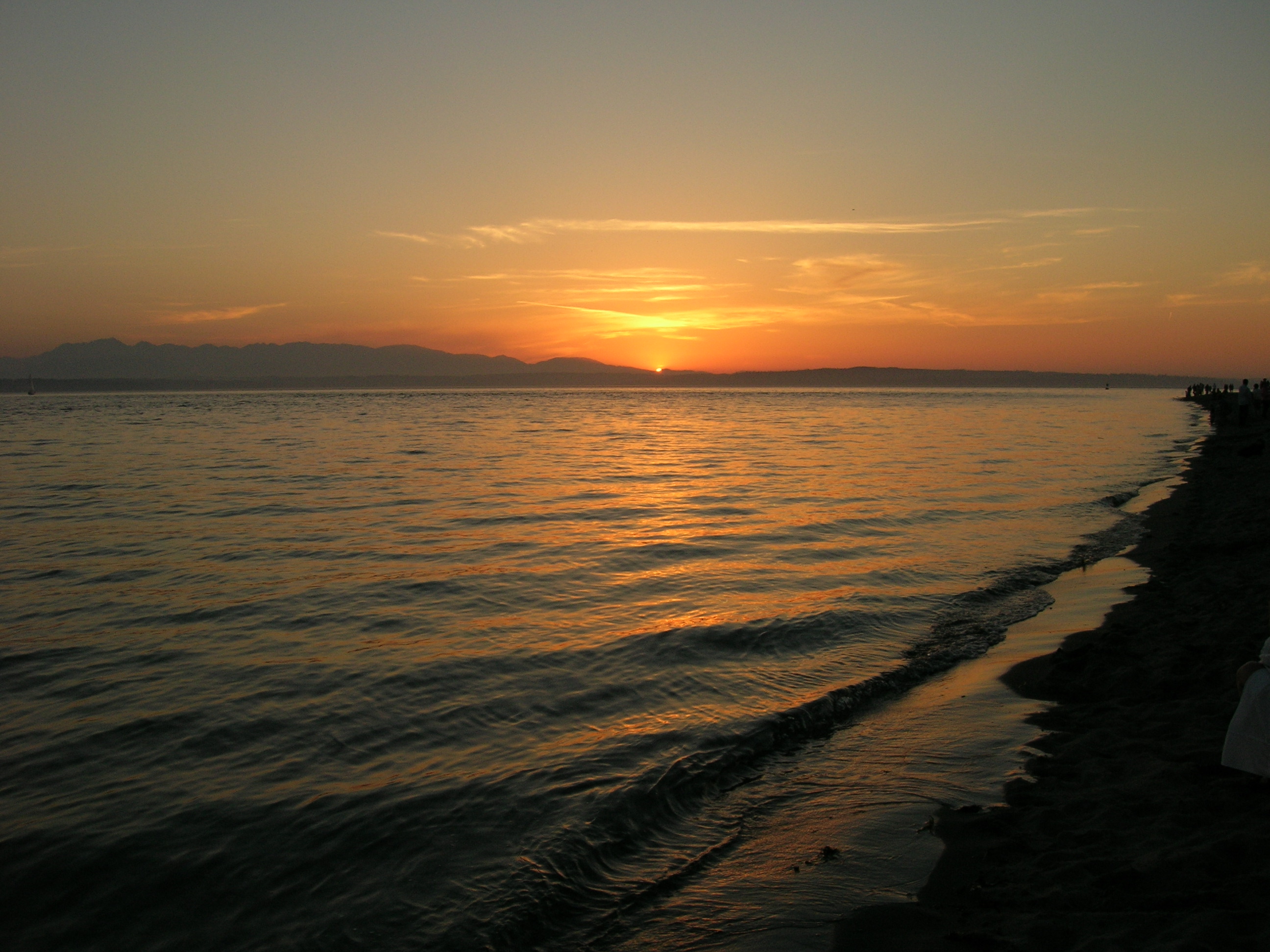 Golden Gardens